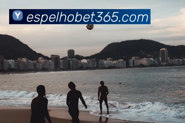 bet365服务体系